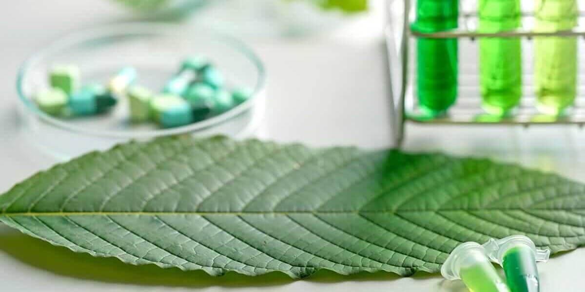 a table full of kratom for opiate withdrawal